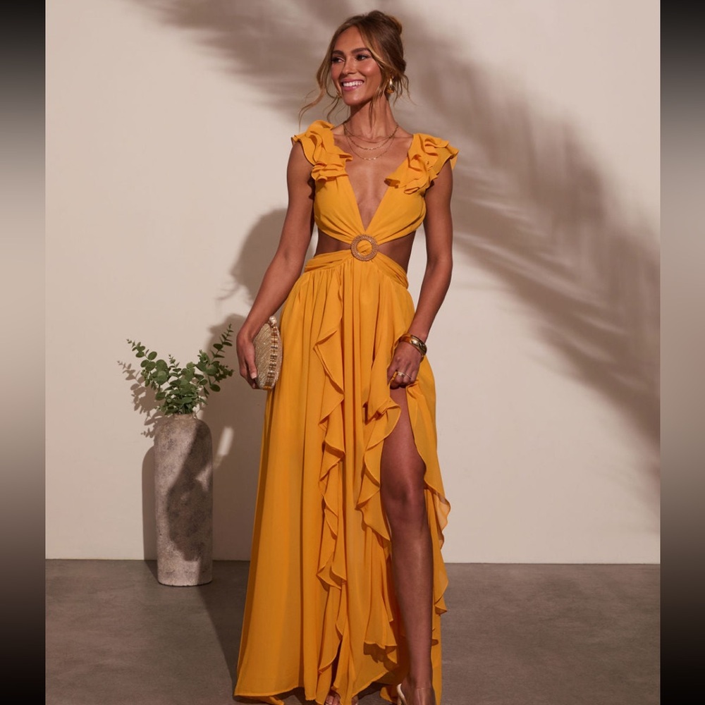 NWT VICI dress